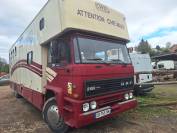 Camion Transport 11 chevaux