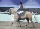 Top ponette de sport CSO / CCE à vendre 