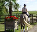 Jument PRE 4 ans Dressage