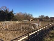 ? Pension chevaux – Bien-être et nature