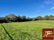 Propriété équestre, Maison 130 M2, 2 hectares, boxes et carrières.