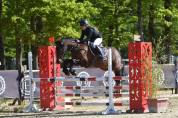 Poney CSO 