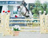 Superbe mâle de 2025 pour CSO (Highway TN x Cicero z)