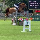 Superbe mâle de 2025 pour CSO (Highway TN x Cicero z)