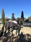 Magnifique entier de 4 ans par Diarado