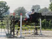 Jument 1m45 de 11 ans