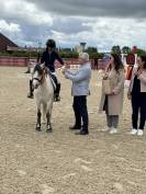 Location d'un poney welsh 11 ans 