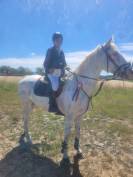 Hongre de 10 ans CSO