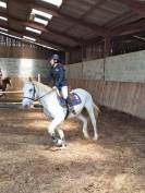 Jument de loisirs de 21 ans