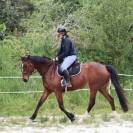 Cavalière Enseignante Indépendante 