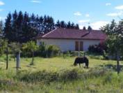 Propriété équestre à vendre