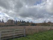 Equestrian farm  Sarthe