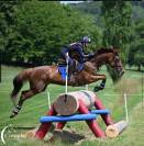 Jument CCE maitre d’ecole