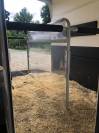 Horse trailer Bockmann Comfort 2 Stalls 2023 Used