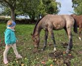 Poulin par grimsky semilly