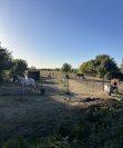 Ecurie / Centre équestre avec logement sur 5 hectares