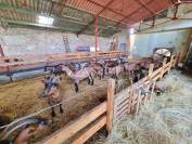 Propiedad ecuestre En venta Tarn y Garona