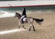 Très jolie ponette Isabelle 2018