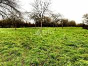 A vendre pour tout ou partie : Corps de Ferme 4 hectares Pays d'