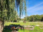 Equestrian property  Loir-et-Cher