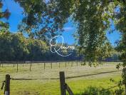 Equestrian property  Loir-et-Cher