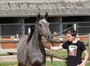 Mâle SFO par Rohotep de Toscane