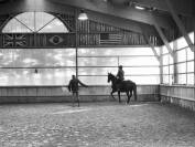 PENSION_PADDOCK (35)