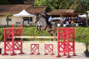 Cheval de Sport - CSO 