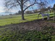 BOXES A LOUER COMMUNE DE CHAMPVENT