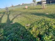 BOXES A LOUER COMMUNE DE CHAMPVENT