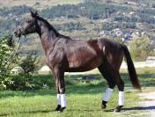 Darck Dream talentueuses 4 ans 