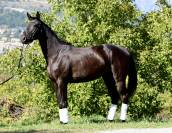 Darck Dream talentueuses 4 ans 