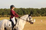 Recherche demi-pension pour poney de sport connemara