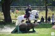 Recherche demi-pension pour poney de sport connemara