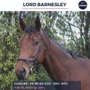 LORD BARNSLEY - PS - 4 ANS
