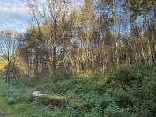 Propriété rurale sur 13 ha - Haute-Saône