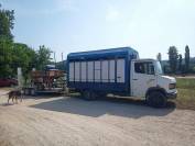 Poids-lourd bétaillière Mercedes 711D