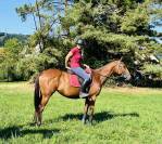 Très gentille jument PS 