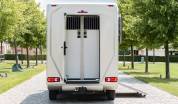Horsebox HGV AKX Akx stallion 2025 New