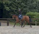 Jument polyvalente 2021 