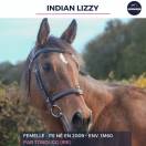 INDIAN LIZZY - PS - 16 ANS