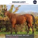 INDIAN LIZZY - PS - 16 ANS