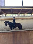 Recherche demie pensionnaire dressage 