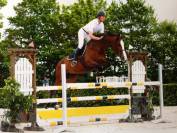 Jument par Kalaska de semilly