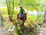 Le Relais de La Jemaye