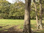 Stud farm  Loire-Atlantique