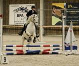 Super poney cherche sa famille 