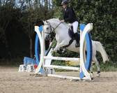 Super poney cherche sa famille 