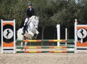 Super poney cherche sa famille 