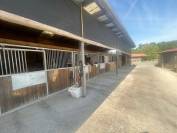 Propriété équestre à deux pas de LILLE